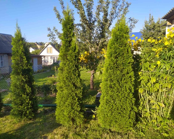 Дача СТ Вясёлка-1, Логойское направление