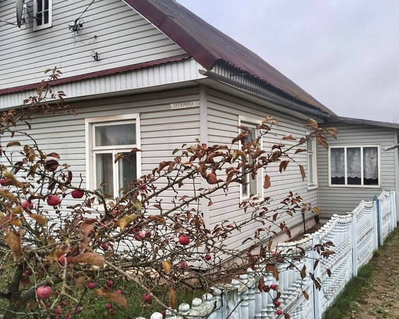 Дом, г.п. Телеханы, ул. Гагарина, 6