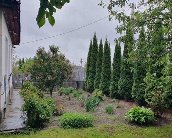 Дома и земельные участки