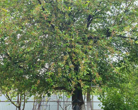 Дом, г. Мозырь, ул. Полесская, 14