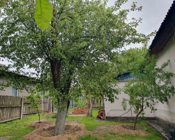 Дом, г. Мозырь, ул. Полесская, 14