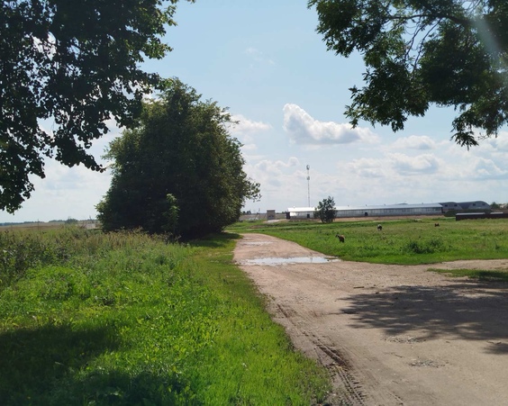 Дом, д. Моторово, ул. Молодёжная