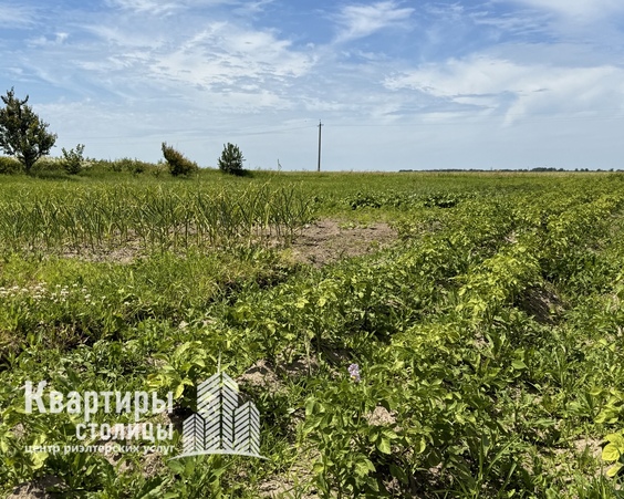 Дом в д. Лесуны, ул. Молодежная (Слуцкий р-н, Минская область)