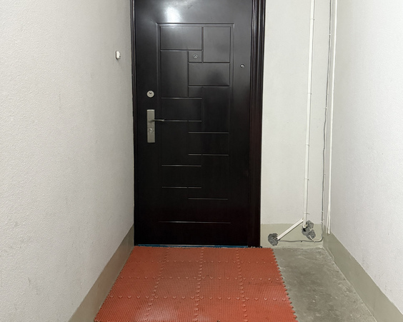 Трехкомнатная квартира г. Минск, ул. Чечота, 21