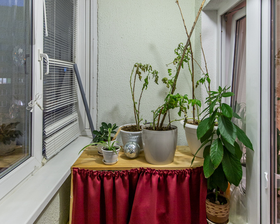 Однокомнатная квартира г. Минск,  ул. Сырокомли, 38