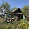 Дом Смолевичский район, аг. Будагово, ул. Центральная
