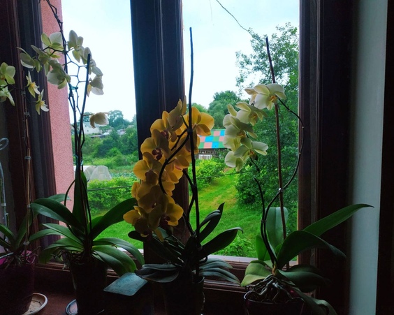 Коттедж, д.Угляны, Юзуфовский с/с