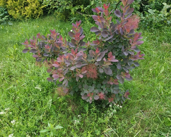 Коттедж, д.Угляны, Юзуфовский с/с