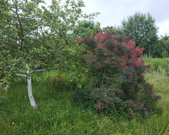 Коттедж, д.Угляны, Юзуфовский с/с