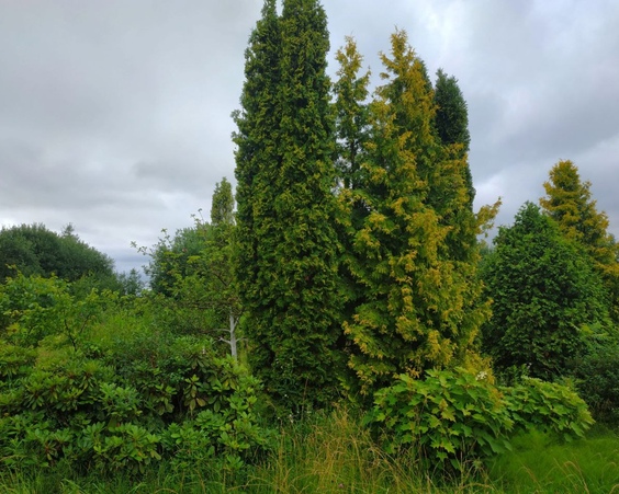 Коттедж, д.Угляны, Юзуфовский с/с