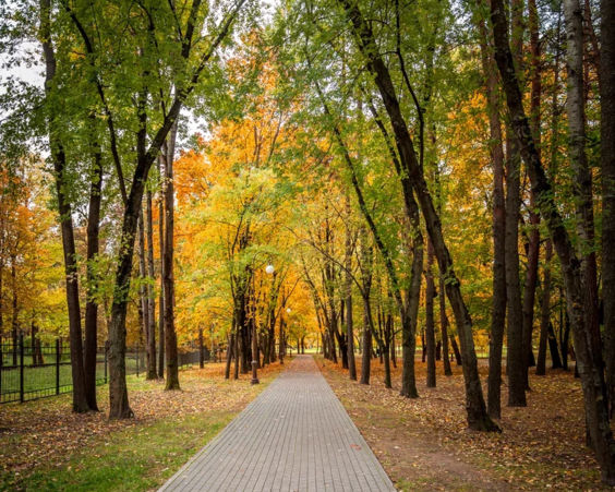 Макаенка 12Б, ЖК «Vogue»