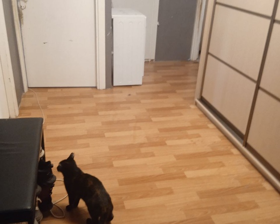 г. Минск, ул. Каменногорская, д. 10