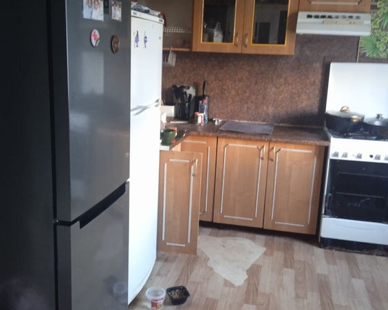 г. Минск, ул. Каменногорская, д. 10