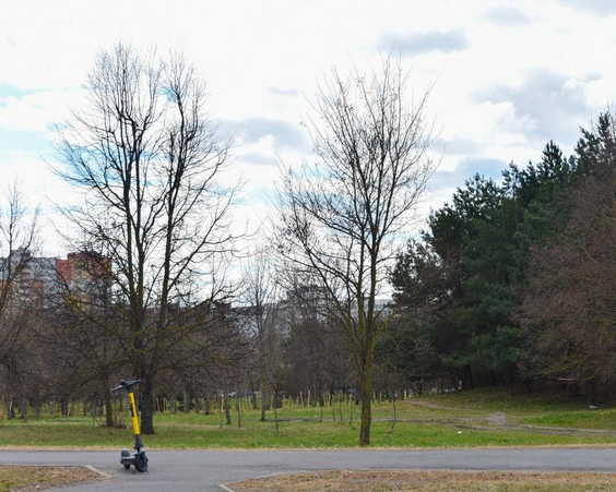 Однокомнатная квартира, г. Минск, ул. Белецкого, 22