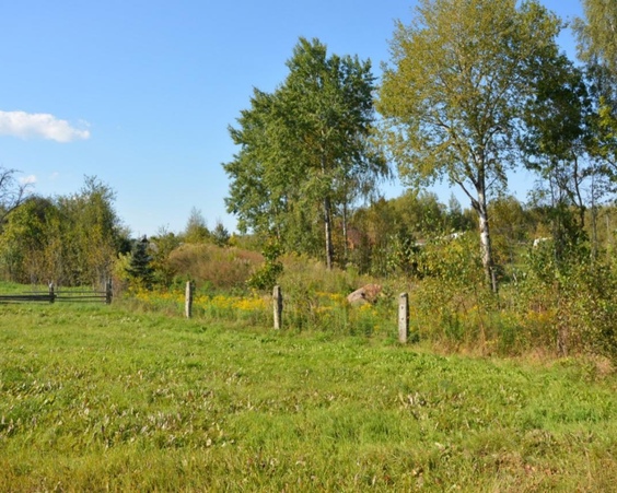 Купить участок, д. Сухая Гора (Логойский р-н, Минская область)