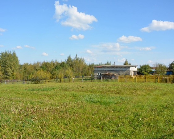 Купить участок, д. Сухая Гора (Логойский р-н, Минская область)
