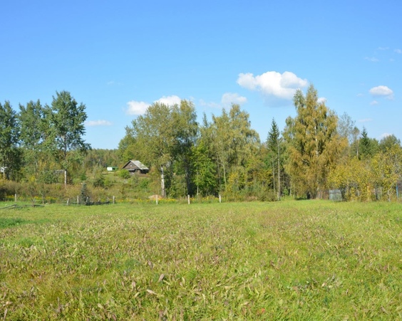 Купить участок, д. Сухая Гора (Логойский р-н, Минская область)