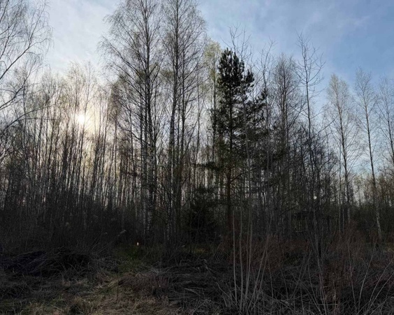 Дом аг. Михановичи, ул. Бачило