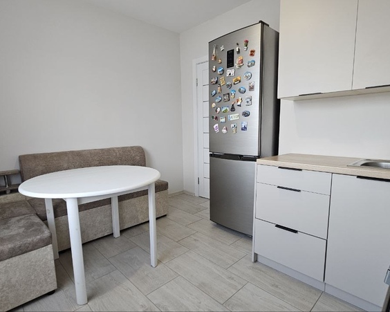 Просторная квартира в Новой Боровой!