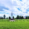 Двухкомнатная квартира г.Сморгонь, ул.Юбилейная, 30