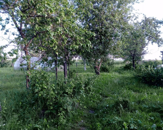 Дом аг. Озеричино, ул.Центральная, д.80, Пуховичский р-н, Минская обл.