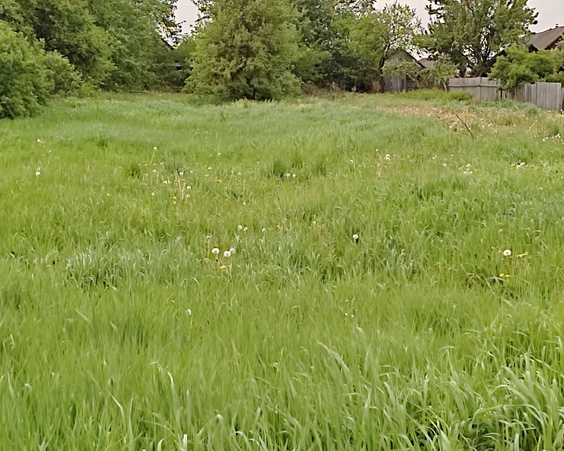 Дом, аг. Леньки, ул. Центральная