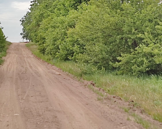 Дом, аг. Леньки, ул. Центральная