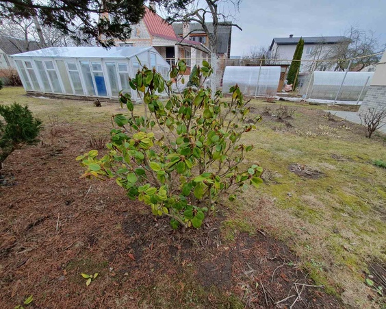 Коттедж СТ "Боровая",ул. Весенняя