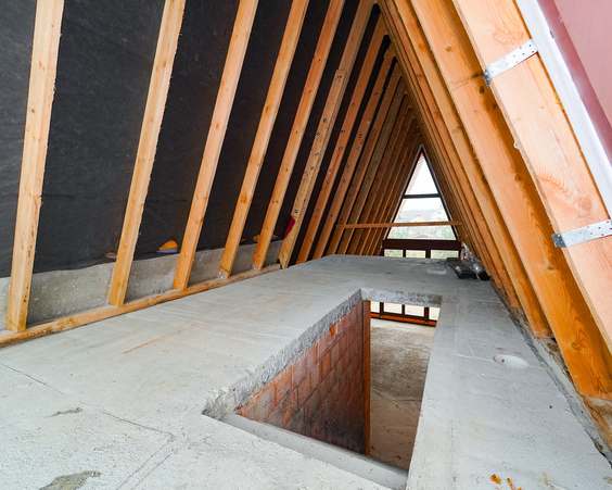 Дом в д. Силичи