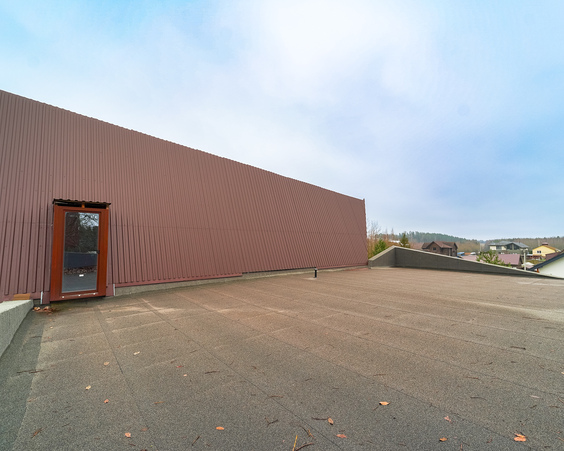 Дом в д. Силичи