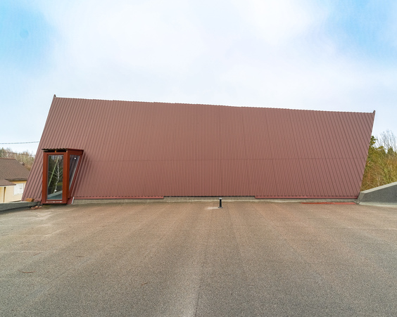 Дом в д. Силичи