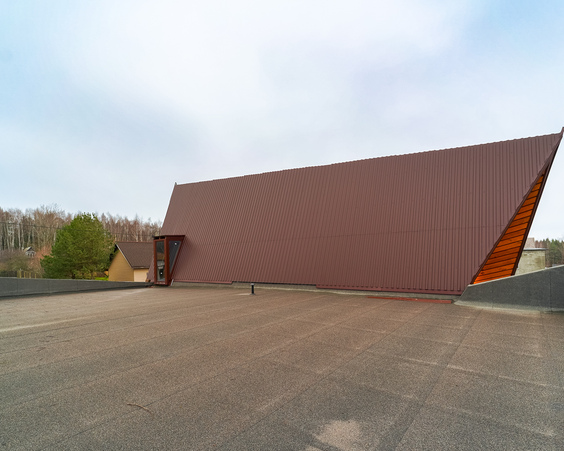 Дом в д. Силичи